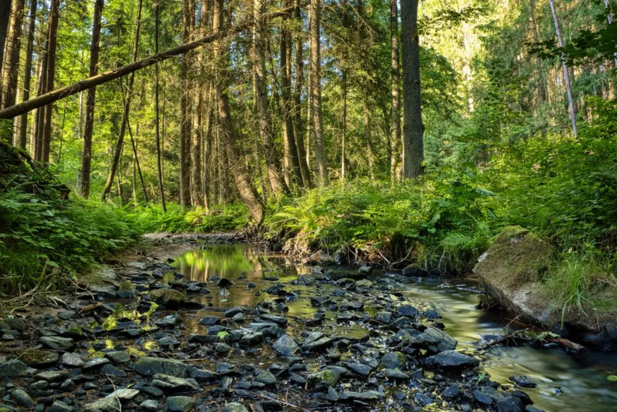 streaming region